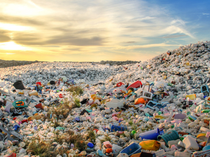 “Some plastics are intrinsically toxic, while others have toxic additives that can leach into the environment, including during recycling operations.”