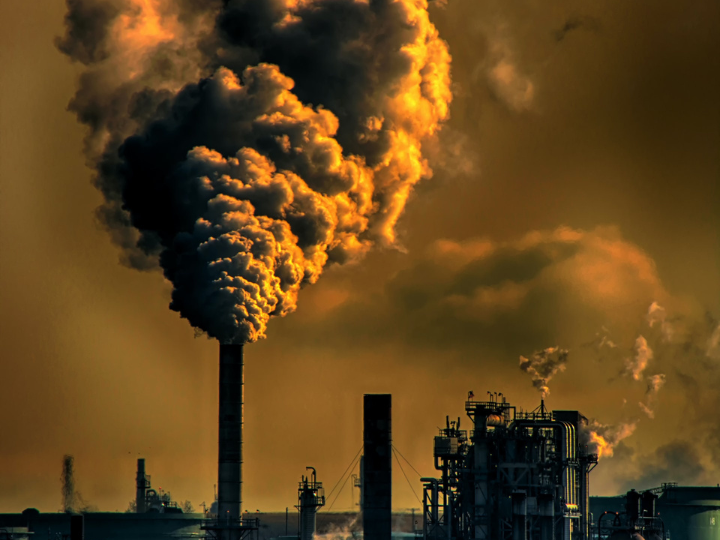 "Better planning, monitoring and funding schemes are needed to address pollution".
