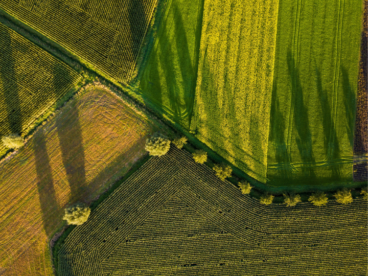 The move is part of a package of measures – to be presented on Friday – designed to meet protesting farmers’ demand to alleviate the administrative burden of the EU’s Common Agricultural Policy (CAP).
