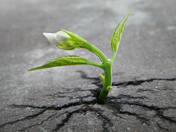 “My life has been full of terrible misfortunes, most of which never happened.” – Michel de Montaigne.