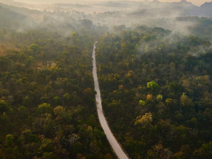 The coalition provides five policy recommendations to drive post-COVID economic recovery and protection of nature.