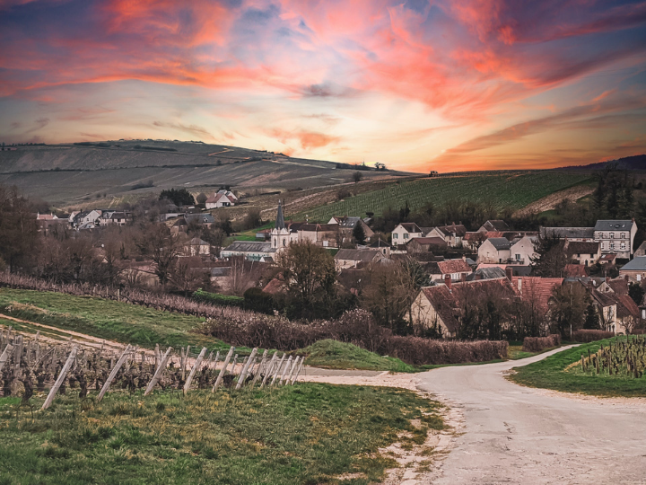 Almost 30% of the European population – 137 million people in total – live in rural areas, which stretch over 80% of the EU’s territory.