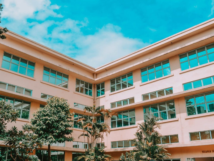 Europe needs ambitious policies that can lead the transformation of the building stock, and bring benefits to society especially in our schools, hospitals, and care homes, write Jutta Paulus and Ciaran Cuffe.