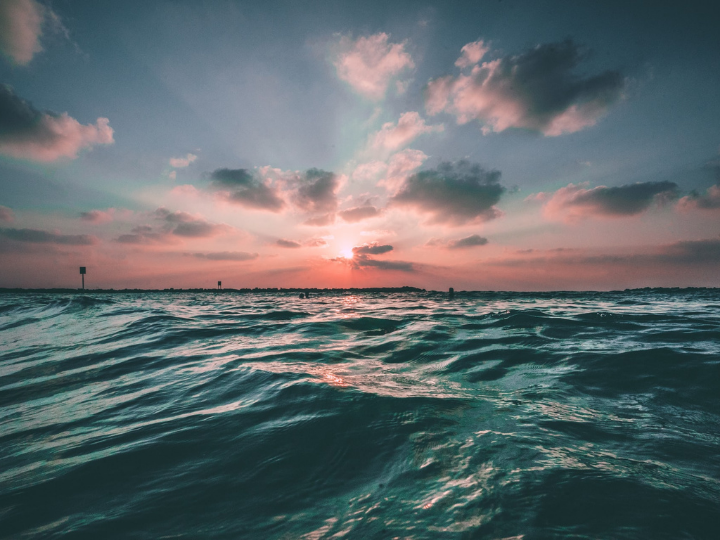 "Fortunately, nations across the world are working on creating an international legally-binding treaty at the Intergovernmental Conference (IGC) to manage shared marine biodiversity in the high seas".