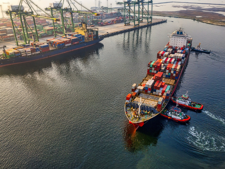 Shipping decarbonization depends on net zero fuels, and ammonia, methanol and biofuels have different roles to help this transition.
