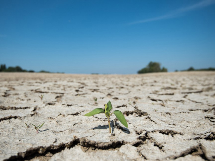 Research published recently in the journal Environmental Research Letters, looked at agricultural production in 28 European countries – the current European Union and United Kingdom – from 1961 to 2018.