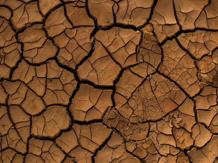 "While the EU does everything within its power to mitigate climate change, domestically and internationally, we must also get ready to face its unavoidable consequences."