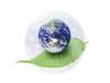 Sustainable Tourism