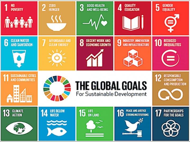 "We are living in a time when governments and businesses that understand the need to deliver the sustainable development goals are searching for the very same thing as many activists: a social, or multistakeholder movement capable of making systems change happen. None of them can do it alone. What we need is a worldwide movement for change, on the street, across the boardrooms or in cabinets”