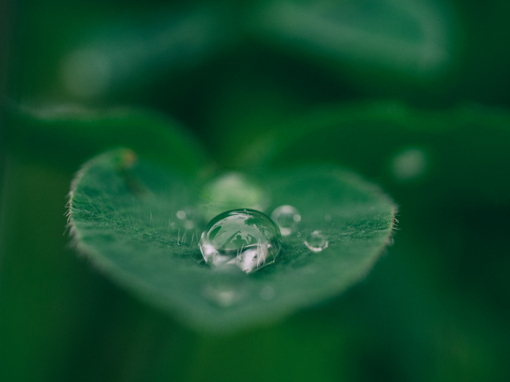 "There is growing evidence that strong ESG credentials can boost a company’s bottom line and access to capital."