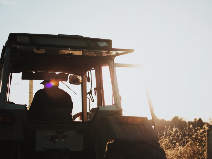 Farmers have become an endangered species. The extinction of all but major landowners threatens widespread rural unemployment and the near-death decline of countless villages and small towns. 