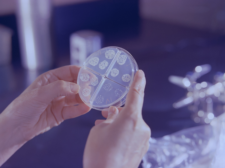 According to a WHO estimate, nearly 10.6 million people fell ill with TB in 2021 worldwide, out of which there were about six million men, about 3.4 million women and about 1.2 million children. Over 1.6 million people died from TB in 2021, making it the 13th leading cause of death worldwide and the second leading cause of death by an infectious disease after COVID-19.