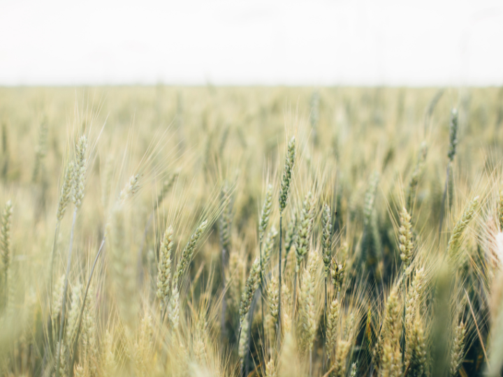 Accession would “lead to the demise of family farming in Europe”, he told a press conference on the future of the EU’s Common Agricultural Policy (CAP).