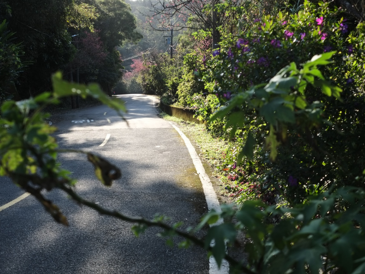 The distribution of urban greenery must be equally spread out to avoid inequalities similar to that of gentrification.