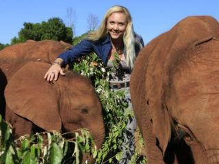 Weber, who hopes to raise greater awareness of the “terrorist and criminal elements” linked to the trade in ivory, said, “There has been a terrible decline in elephant numbers in Africa – a report by Interpol estimates that, in the past 10 years, two thirds of African elephants have been decimated by poaching.”
