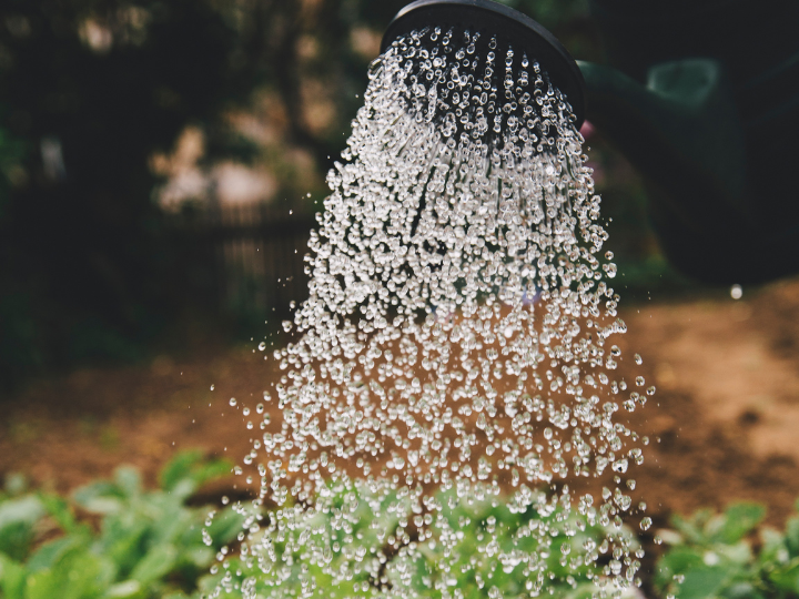 Water utilities could cut their emissions dramatically and quickly, at low to no cost.