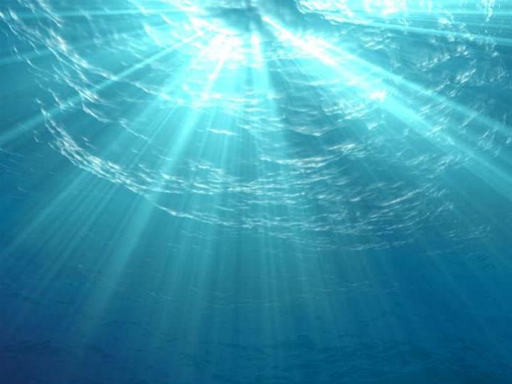 With a turnover of €750 billion in 2018, the EU blue economy is in good health. There were also 5 million people working in the blue economy sector in 2018, representing a significant increase of 11.6% compared to the year before.