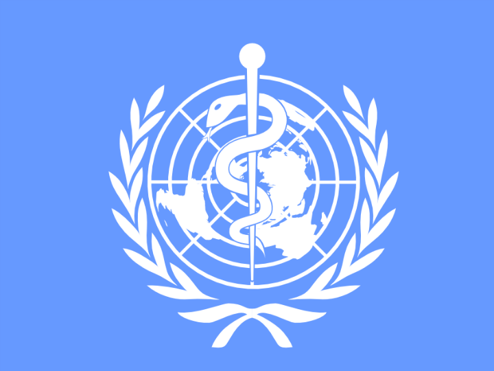 The end of December, Taiwanese officials, ignored by the WHO at China’s behest, sounded the alarm that the virus could be transmitted from human to human.