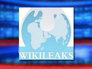The latest cyber-attacks on WikiLeaks make the case for the EU to criminalise the software tools enabling such crimes and for setting up a 24-hour alert system where citizens and companies can flag up attacks, EU home affairs Commissioner Cecilia Malmstrom has said.