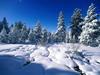 In the midst of winter alpine tourism, Rodi Kratsa asks the European Commission on actions for dealing with the impact of climate change on alpine areas