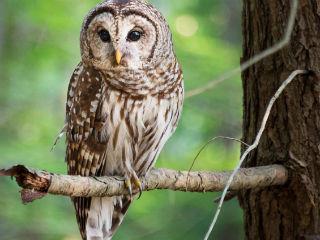 In today’s hyperactive digital age, attaining wisdom is a challenge. With tablets and phones and their various apps constantly vying for our immediate attention, it is increasingly difficult to find the time and mental space for making meaningful connections or engaging in the deep conversations, reflection, emotional awareness, empathy and compassion, necessary in its pursuit.