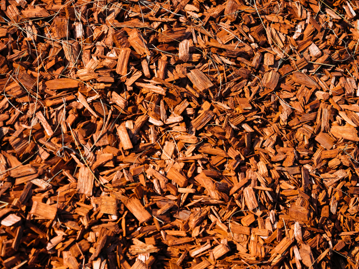 Environmental law charity ClientEarth on Thursday (3 February) formally asked the European Commission to review the rules allowing bioenergy investments to be labelled sustainable.