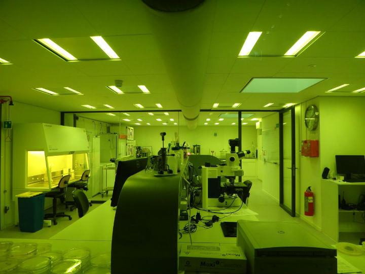 There is overwhelming historical evidence that contact between previously isolated populations and ecosystems — or their integration into larger units — has created major evolutionary discontinuities and often exacted a tragic disease toll.