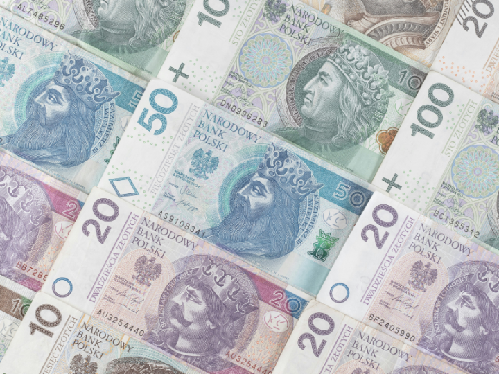 The poll conducted by United Surveys for Wirtualna Polska shows that 66.8% of Poles would prefer to keep the zloty rather than adopt the euro, and almost half are “definitely against” joining the eurozone. Only 27.3% support the introduction of the European currency.